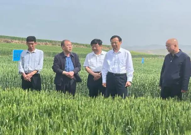 推动乡村建设行动加快改善农村现代生活条件